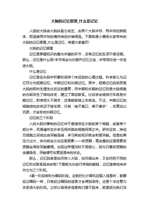 大脑的记忆原理_什么是记忆