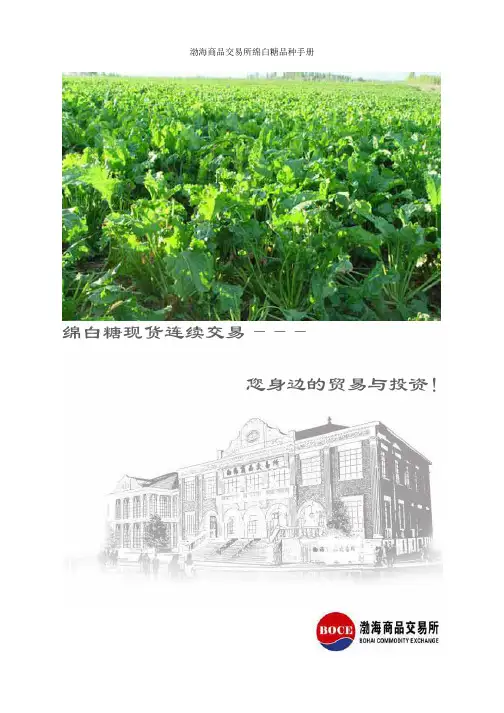 绵白糖品种手册
