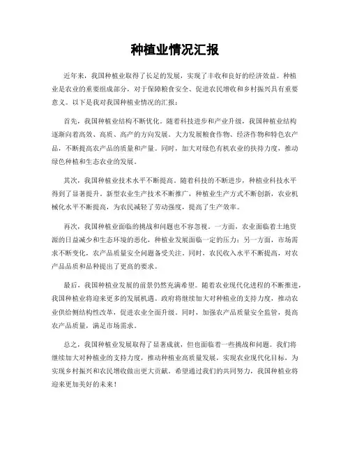 种植业情况汇报