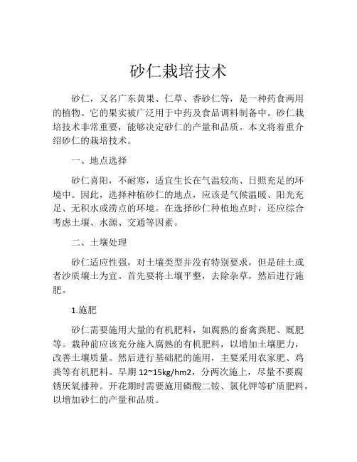 砂仁栽培技术