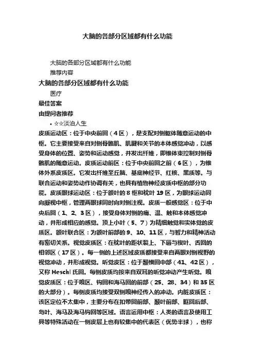 大脑的各部分区域都有什么功能