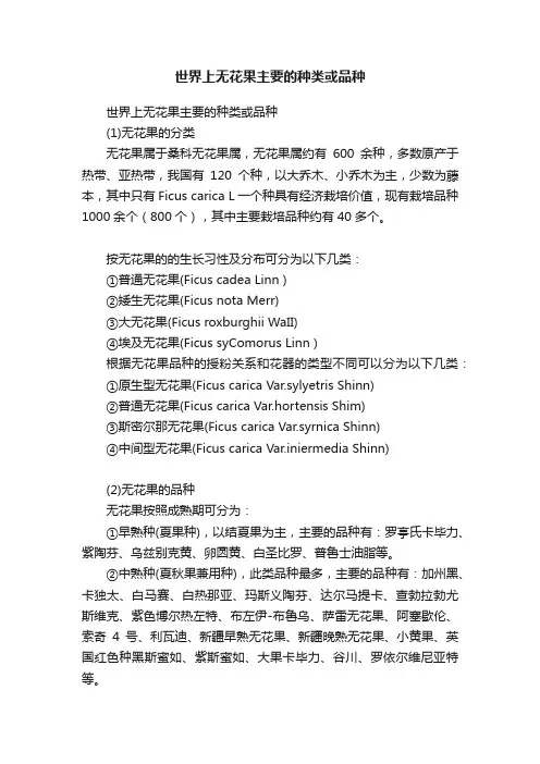 世界上无花果主要的种类或品种