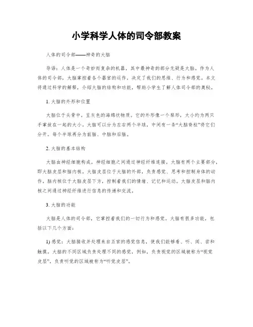 小学科学人体的司令部教案