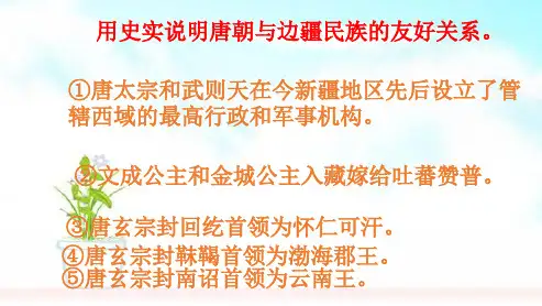 人教版2018-2019七年级历史下册6对外友好往来ppt课件