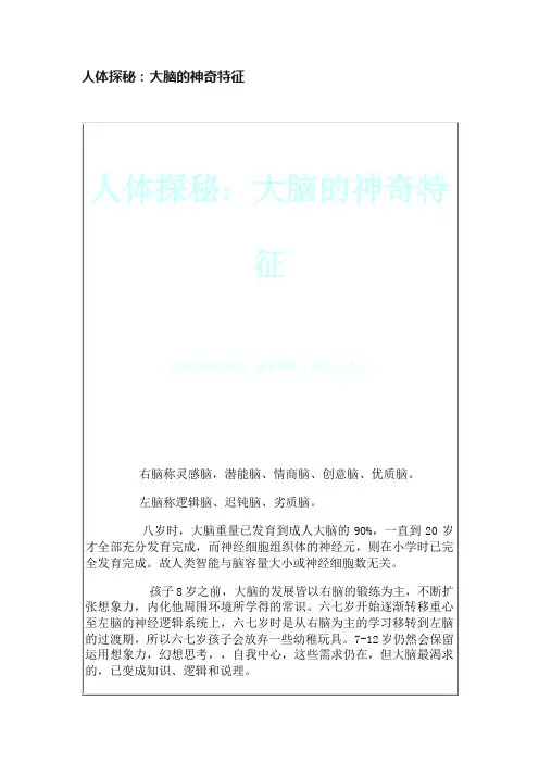 人体探秘：大脑的神奇特征