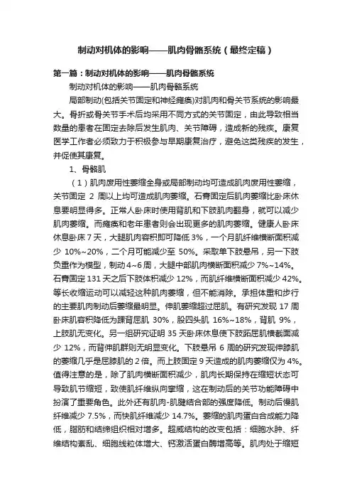 制动对机体的影响——肌肉骨骼系统（最终定稿）