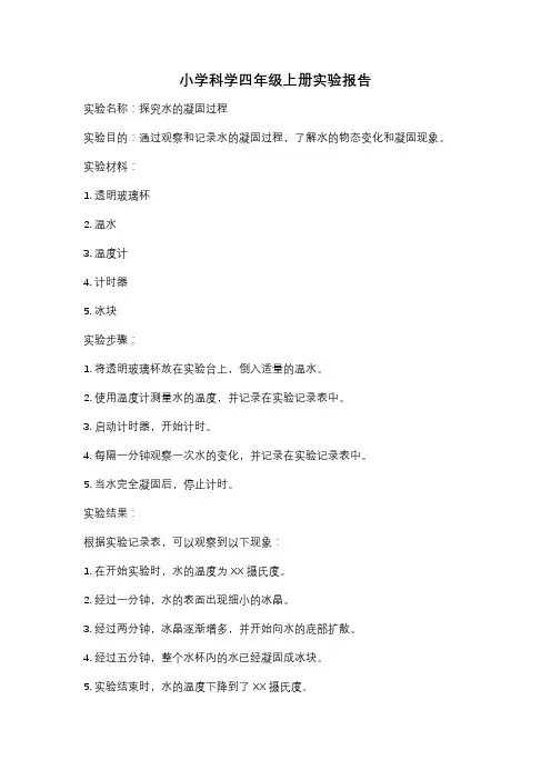 小学科学四年级上册实验报告