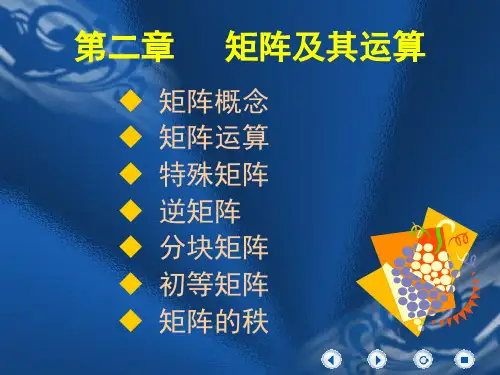 第二矩阵及其运算-