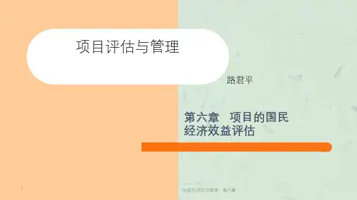 06项目评估与管理--第六章课件