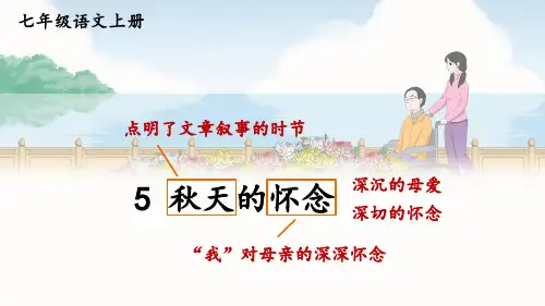 七年级上册语文教学课件《秋天的怀念》
