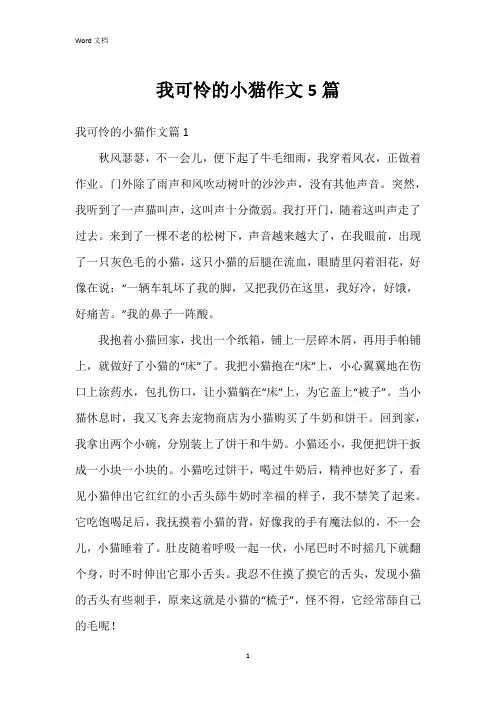 我可怜的小猫作文5篇