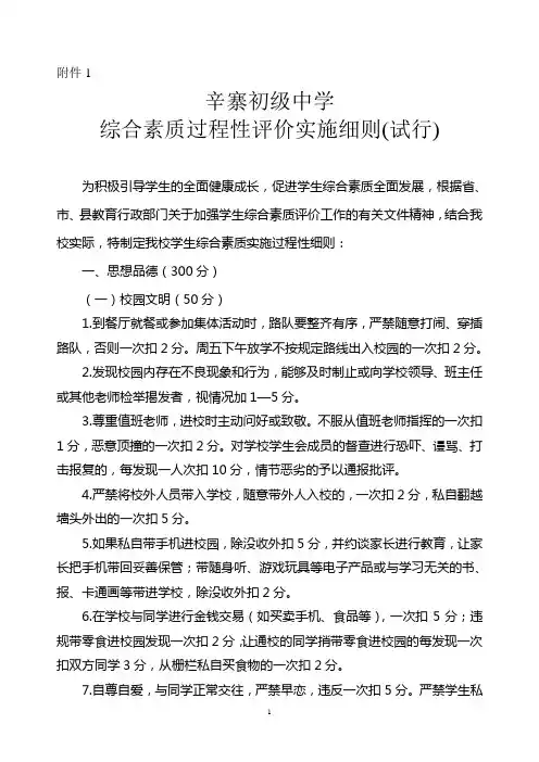 综合素质评价实施评价细则(试行)