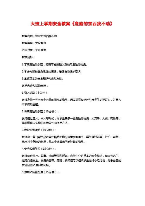 大班上学期安全教案《危险的东西我不动》
