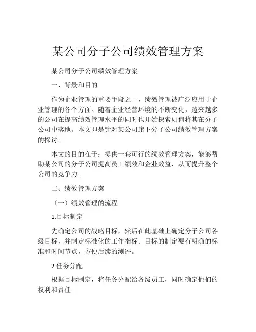 某公司分子公司绩效管理方案