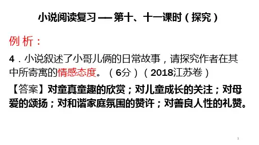 小说阅读复习(探究题)ppt课件