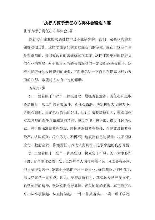 执行力源于责任心心得体会精选3篇