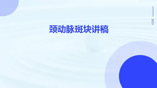 颈动脉斑块讲稿