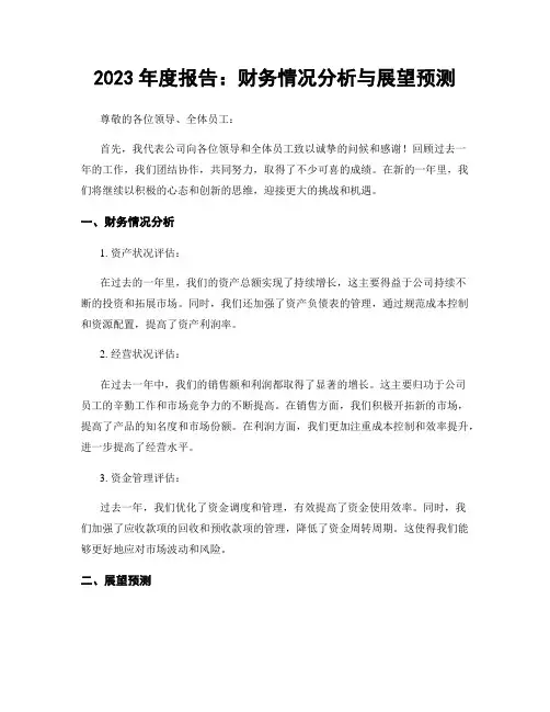 2023年度报告：财务情况分析与展望预测
