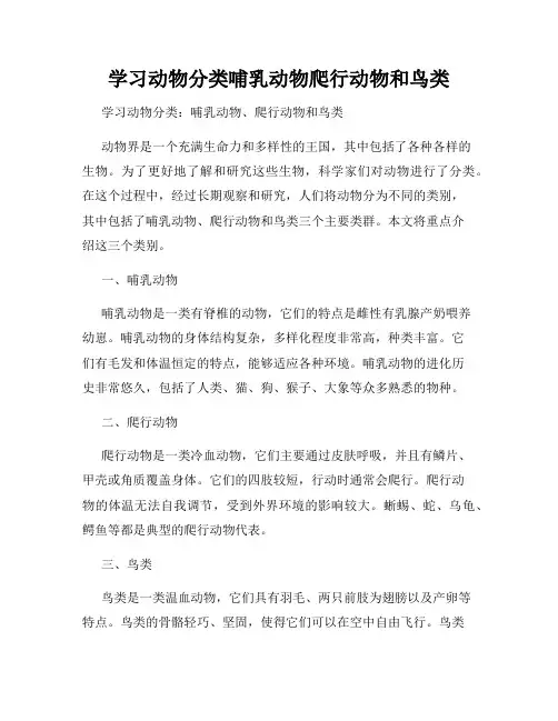学习动物分类哺乳动物爬行动物和鸟类