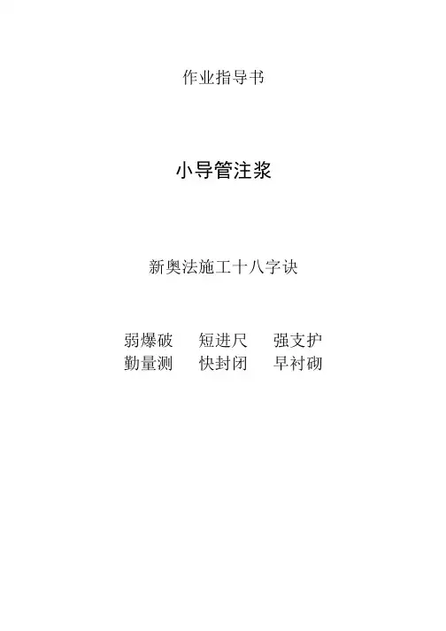 隧道作业指导书六篇_pdf讲解