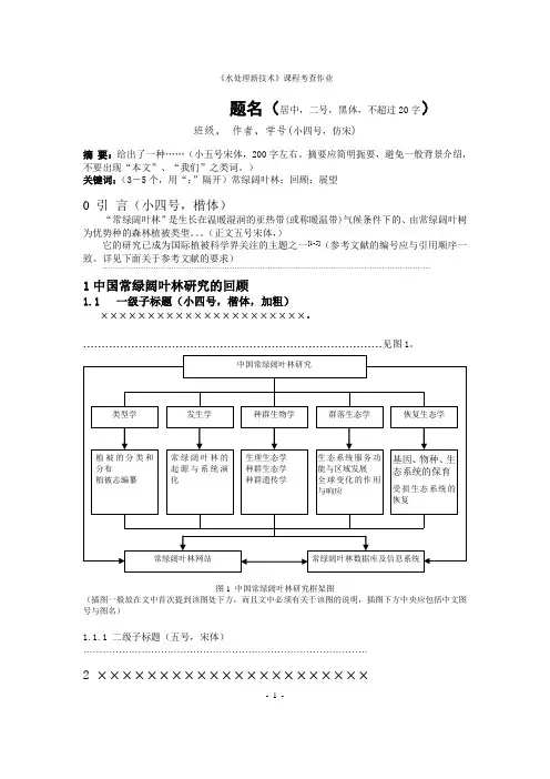 作业格式模板