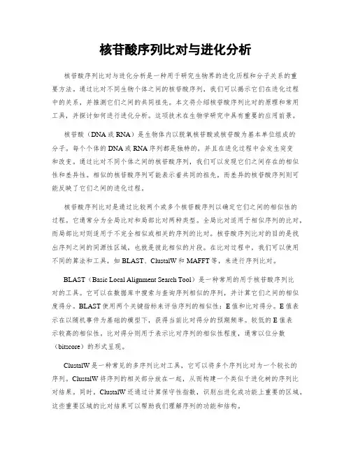核苷酸序列比对与进化分析