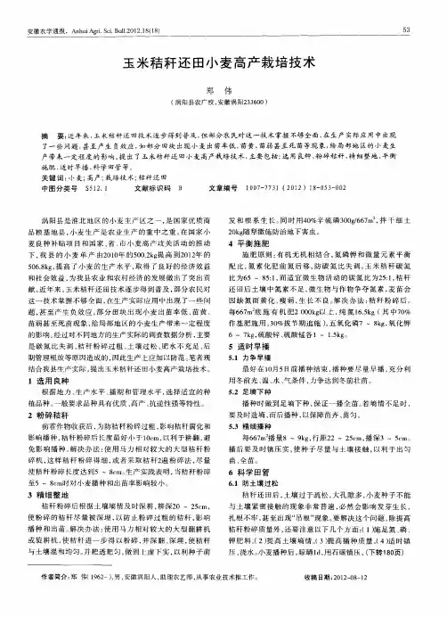 玉米秸秆还田小麦高产栽培技术