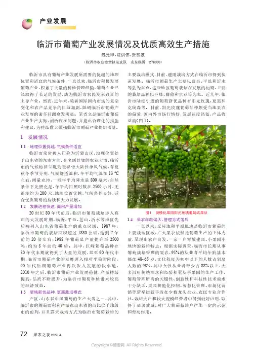 临沂市葡萄产业发展情况及优质高效生产措施