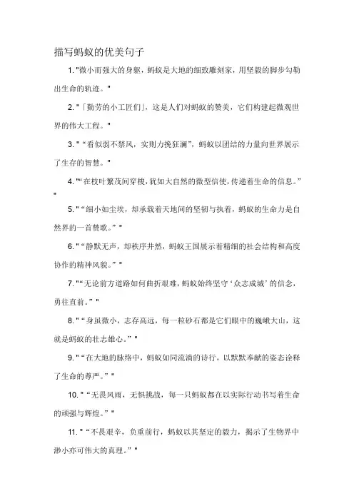 描写蚂蚁的优美句子-定义说明解析
