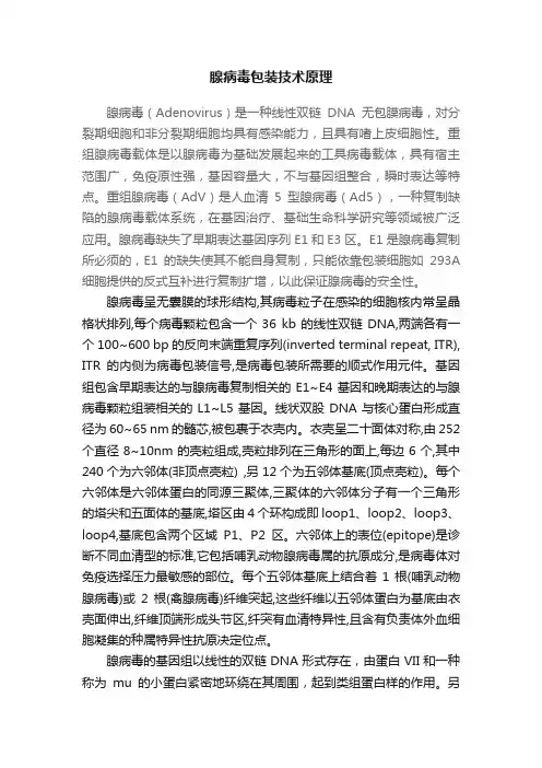 腺病毒包装技术原理
