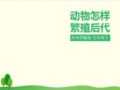 冀教版教材《动物》优质课件1