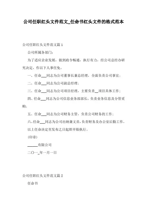 公司任职红头文件范文_任命书红头文件的格式范本