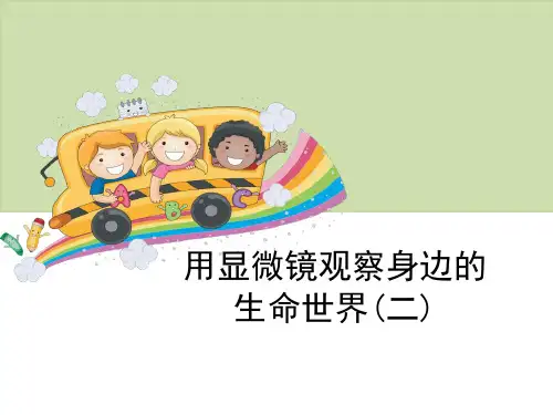 《微小世界——用显微镜观察身边的生命世界(二)》科学教学PPT课件(3篇)
