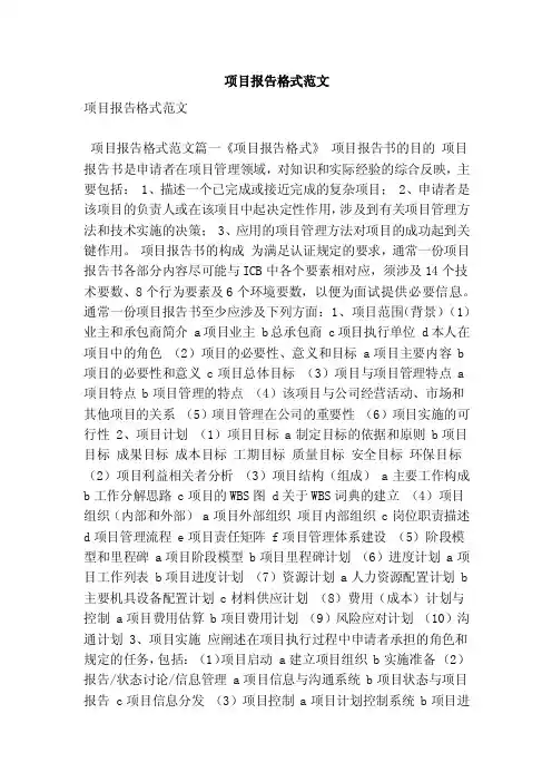 项目报告格式范文（最新版）