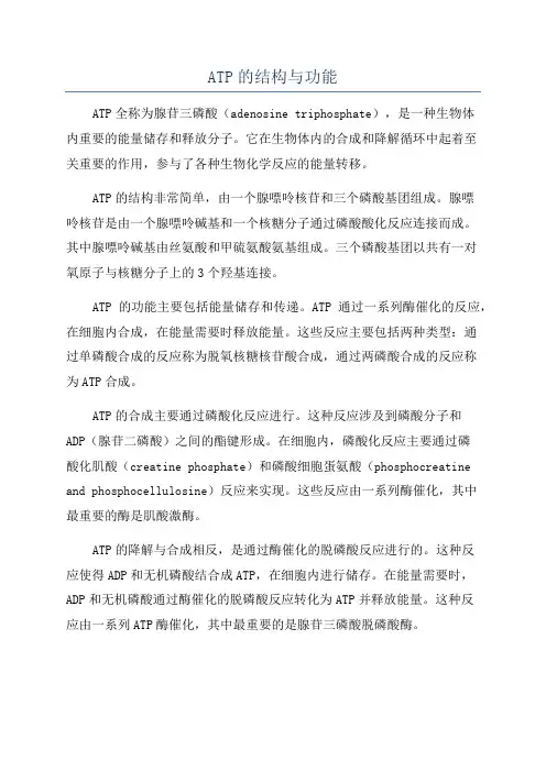 ATP的结构与功能