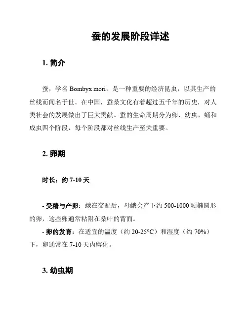 蚕的发展阶段详述