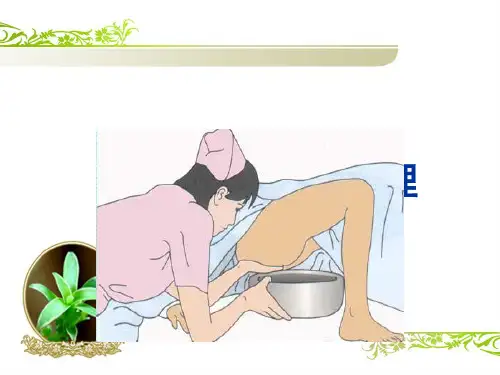 排泄(排便)