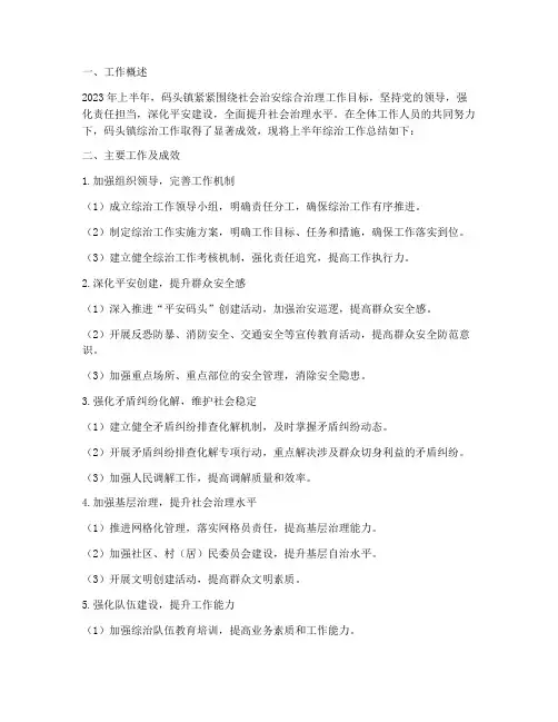 码头上半年综治工作总结