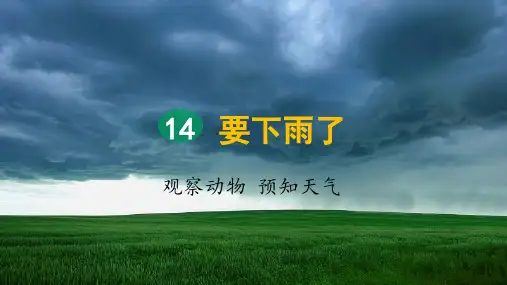 部编版一年级语文下册第14课《要下雨了》教学课件