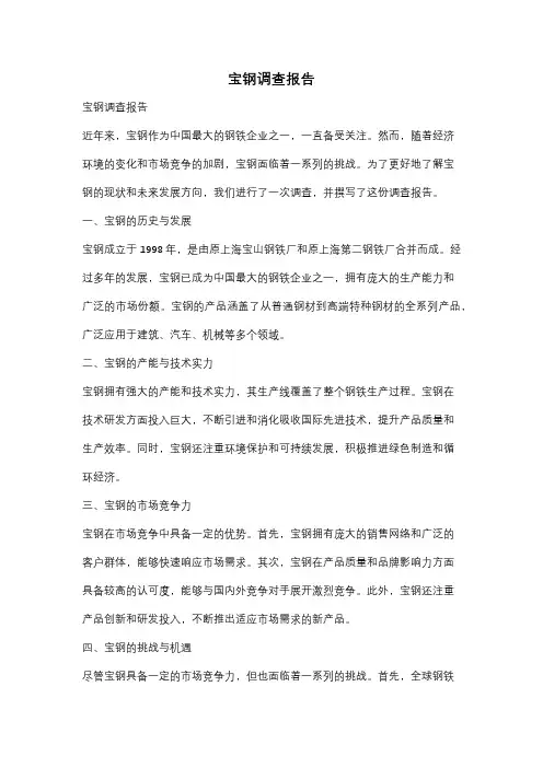 宝钢调查报告