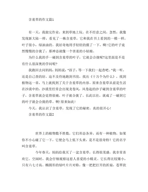 含羞草的作文7篇