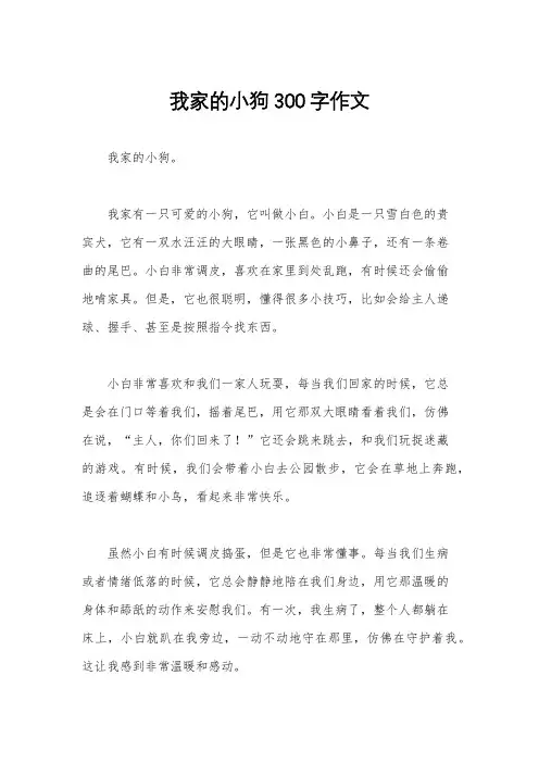 我家的小狗300字作文