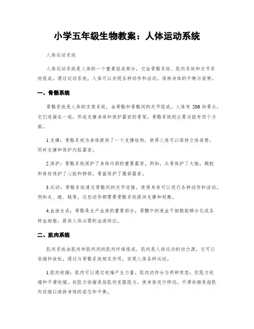 小学五年级生物教案：人体运动系统