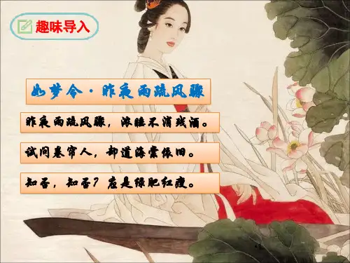 第六单元 课外古诗词诵读《如梦令(常记溪亭日暮)》课件-(27张PPT)  部编版语文八年级上册