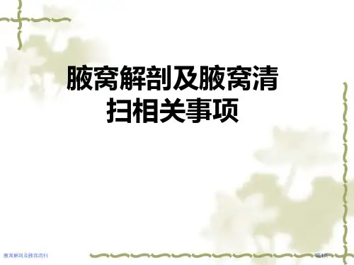 腋窝解剖及腋窝清扫