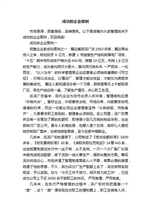 成功的企业案例