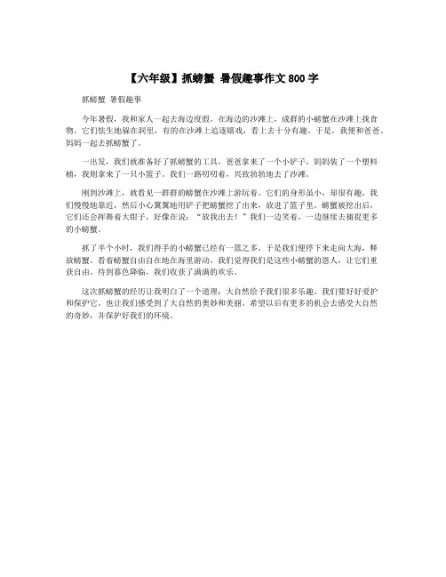 【六年级】抓螃蟹 暑假趣事作文800字