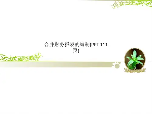 合并财务报表的编制(