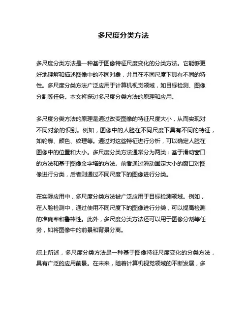多尺度分类方法