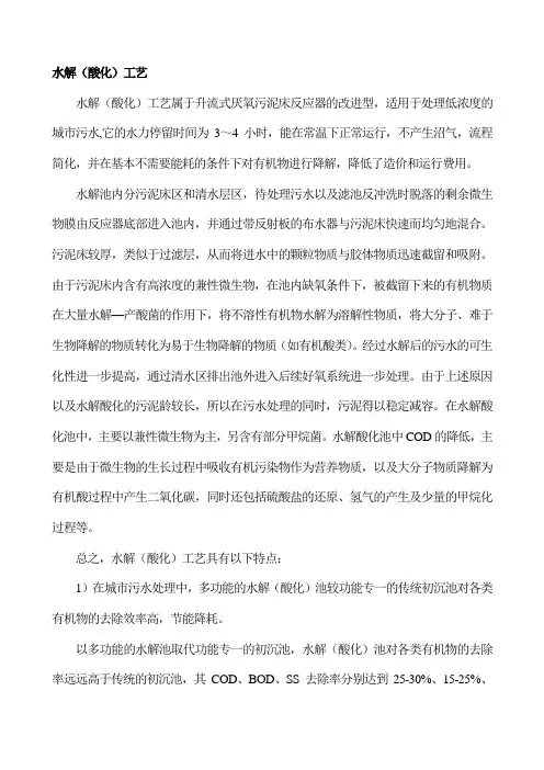 水解(酸化)工艺